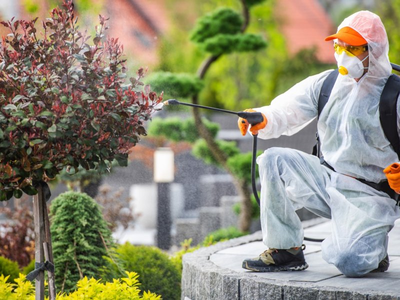 Beylikdüzü Haşere İlaçlama