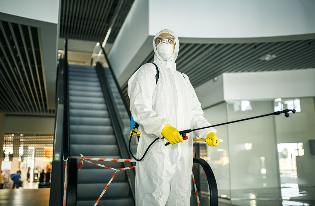 Beylikdüzü Haşere İlaçlama